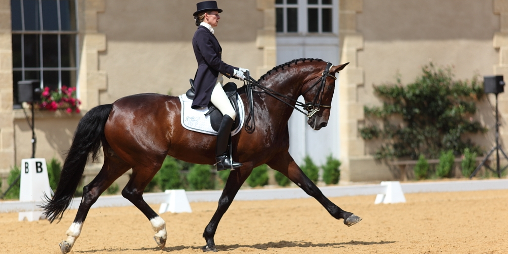 Dressage test