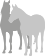 horse icon