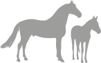 horse icon