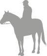 horse icon