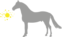 horse icon